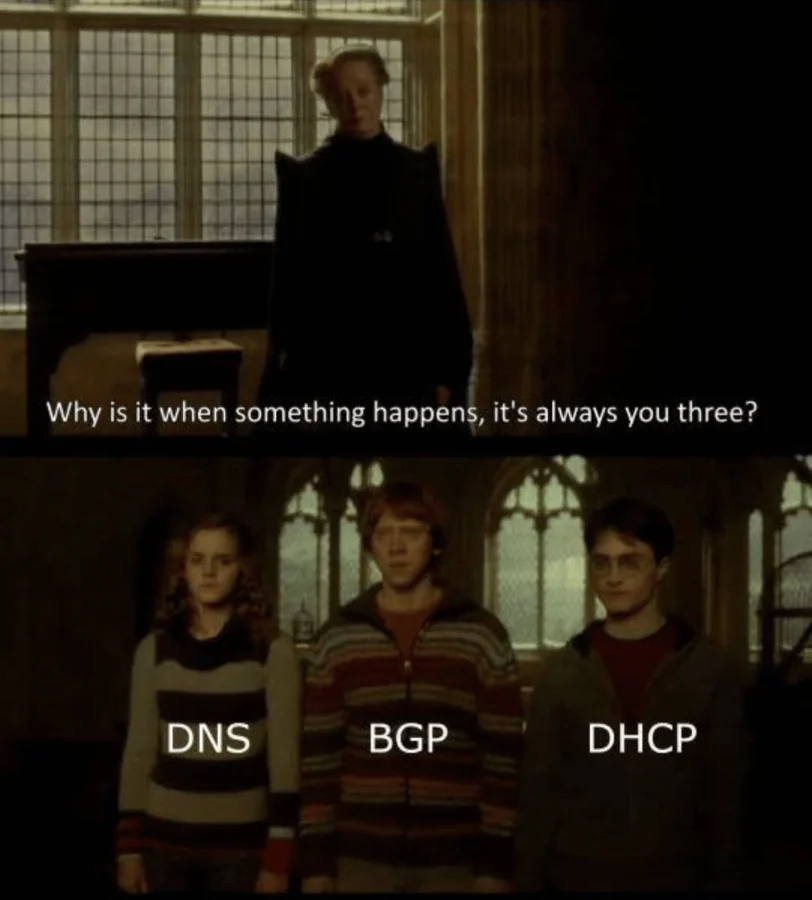 McGonagall: Why is it always you three? DNS, BGP, DHCP — Harry Potter meme